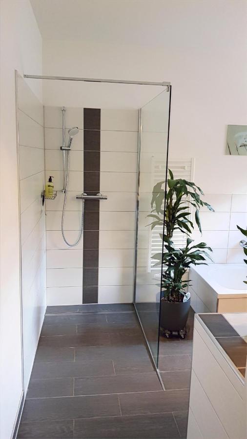 Andrés Ferienwohnung Cottbus Esterno foto